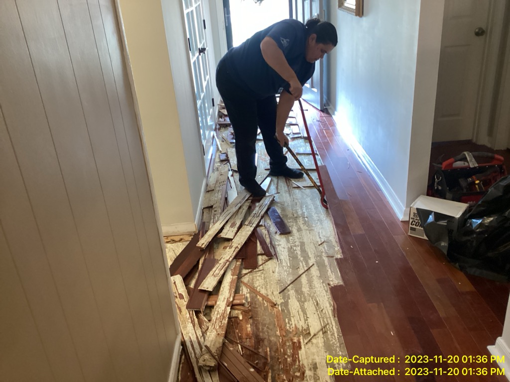 Water damage mitigation and professional cleanup in New Orleans, LA 