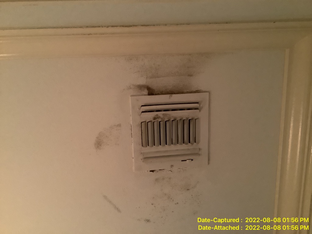 Black mold requiring mold removal in Metairie LA Home