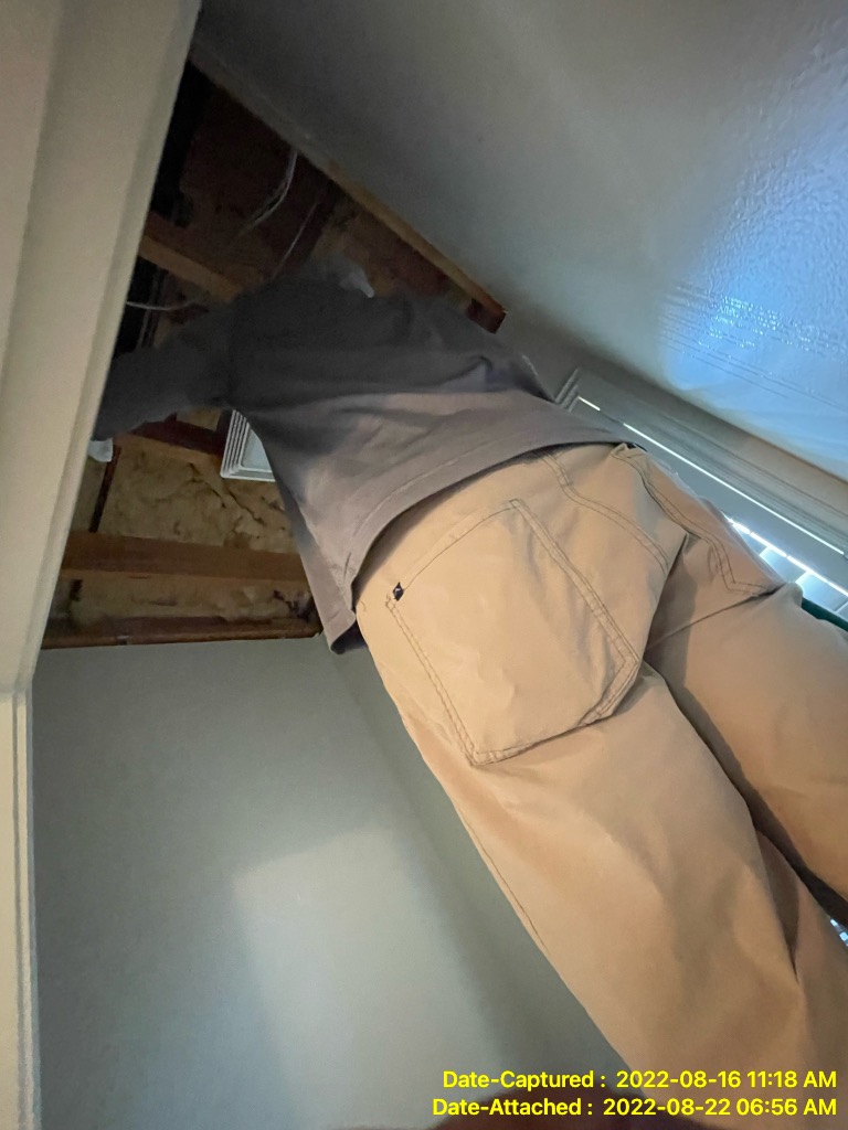 Mold Specialists providing mold remediation service in Metairie LA home