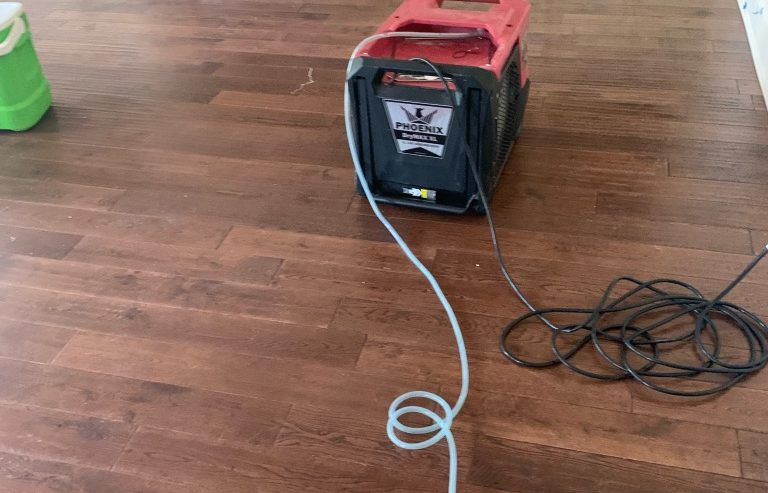 What to do if you find water damage in your New Orleans home 