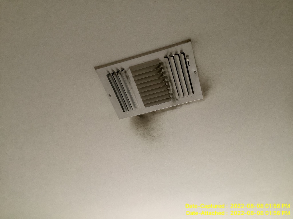 Mold growth requiring mold remediation service in Metairie LA Home