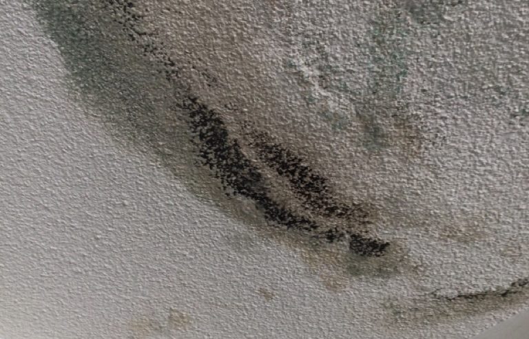 Water damage on a ceiling in New Orleans and mold growth that requires mold remediation