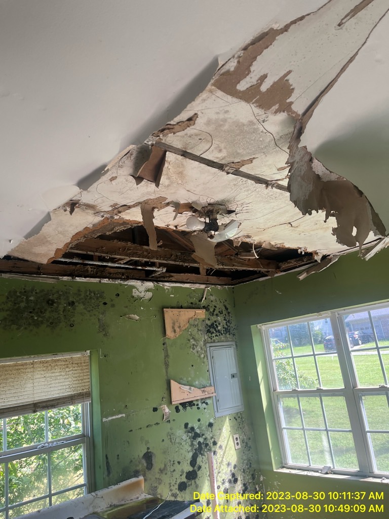 Ceiling Water Damage and Harmful Mold Growth in Greater New Orleans