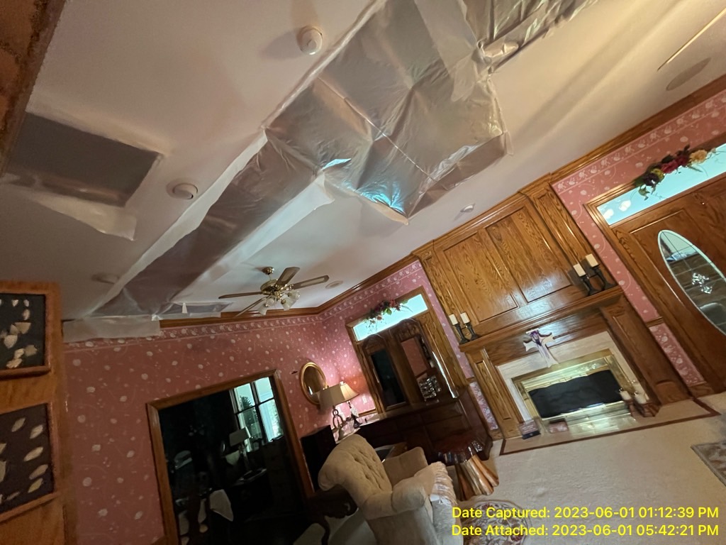Secondary Damage from water damage in New Orleans property