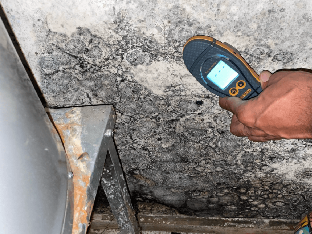 Greater New Orleans Damage Restoration Company